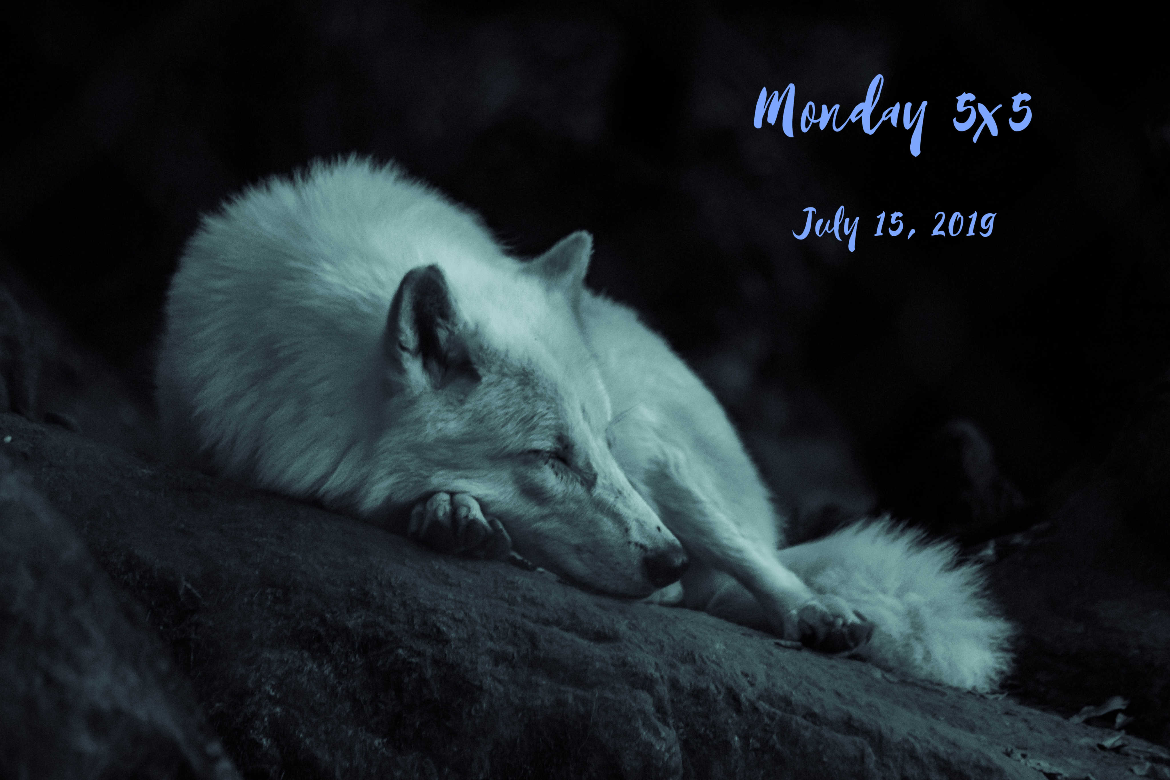 Monday 5×5 for July 15, 2019
