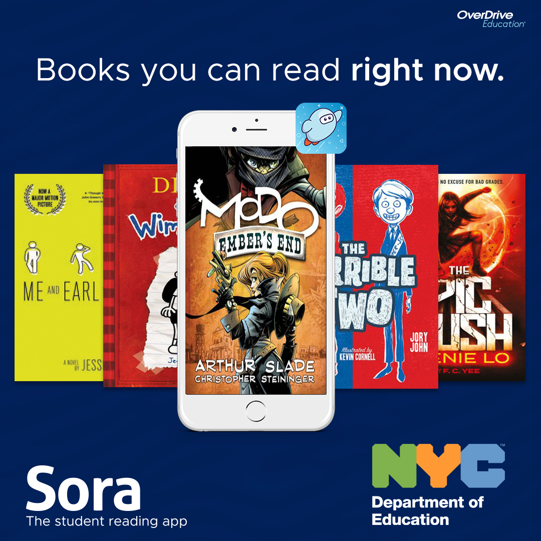 Promote sora social media