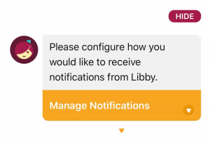 full screen mode in libby app