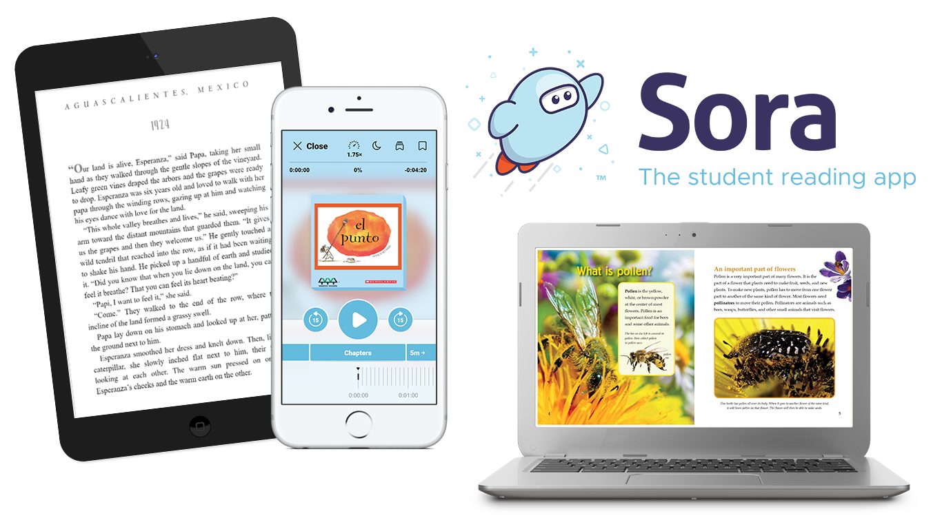 sora reading app