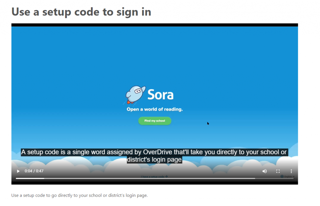 sora setup code screenshot example