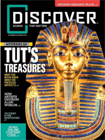 Discover Hidden Tut's Treasures