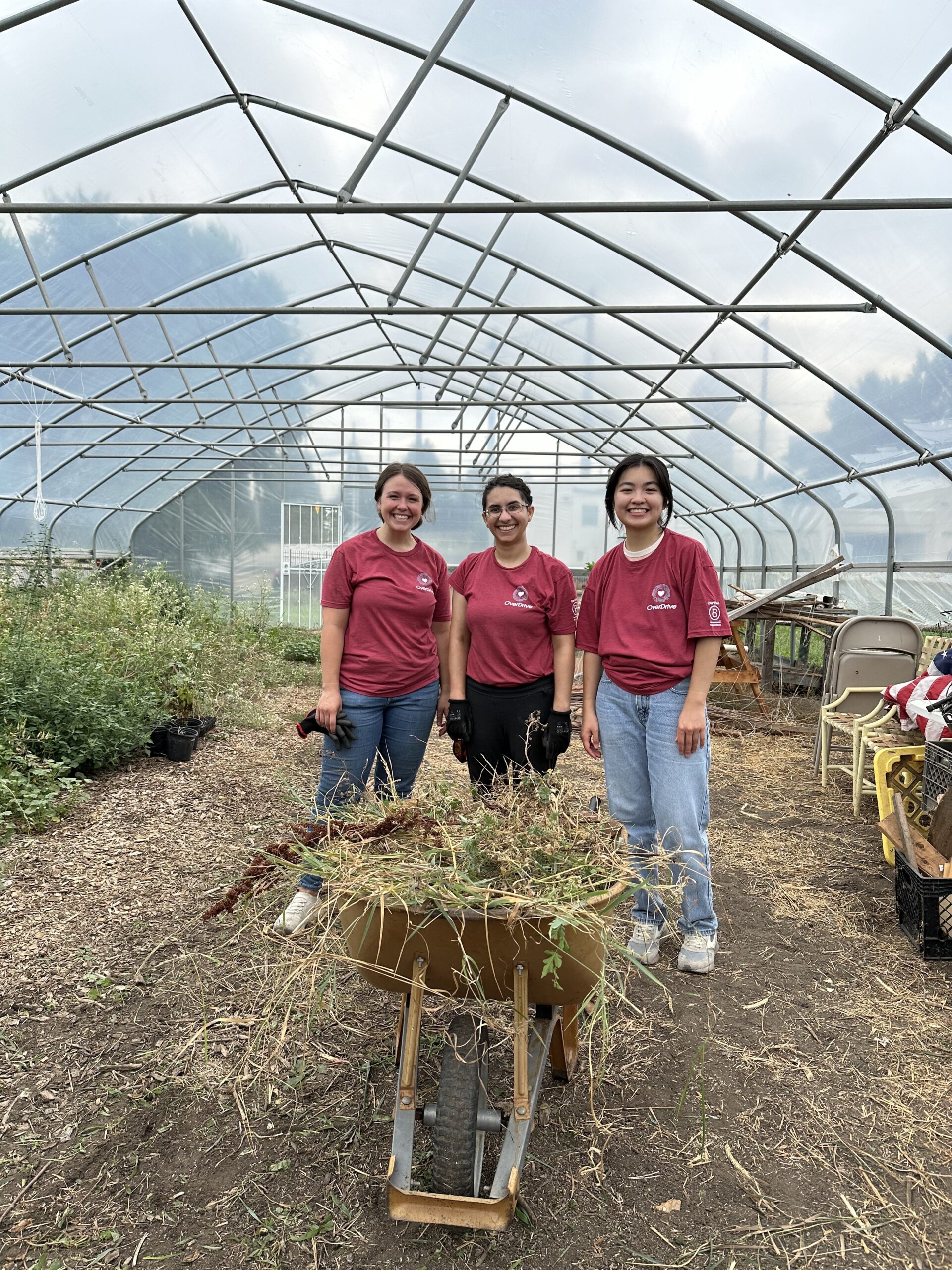 Employees posing in a greenhouse at a volunteer event
