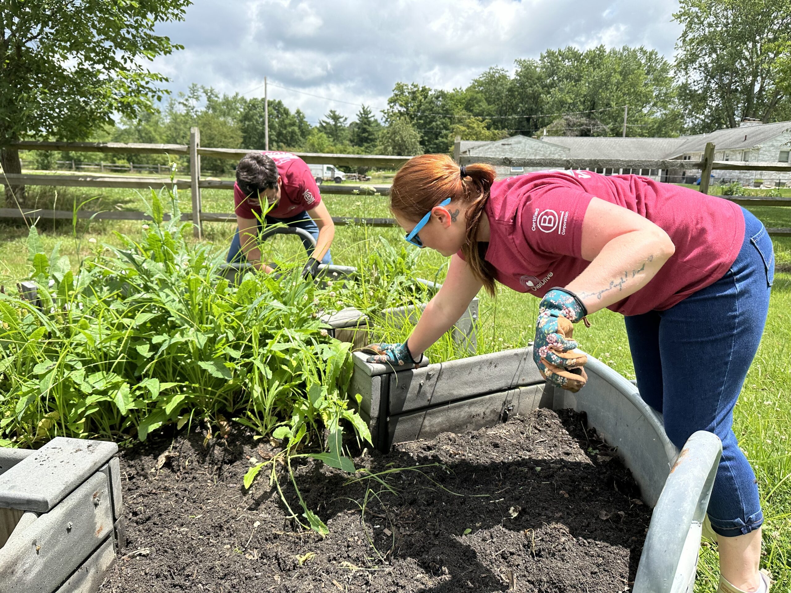 Employees pulling weeds at a volunteer event