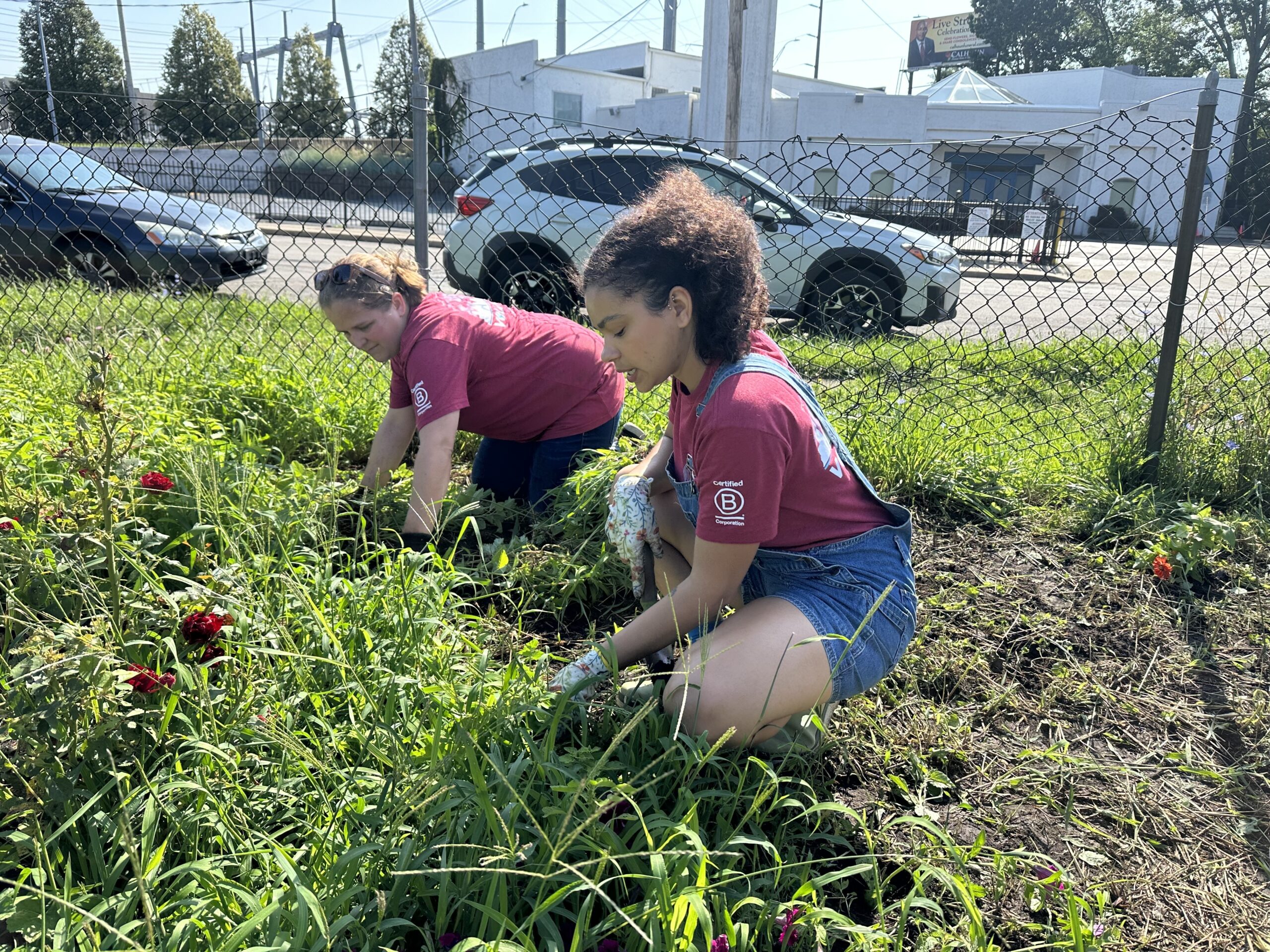Employees pulling weeds at a volunteer event