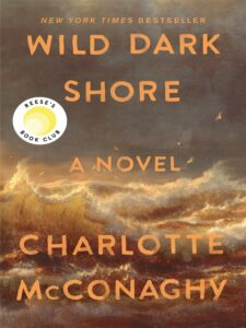 Book cover of "Wild Dark Shore"
