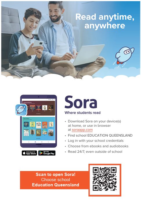 Sora at Home Guide