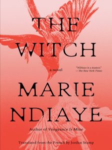 Book cover of "The Witch" Marie Ndiaye